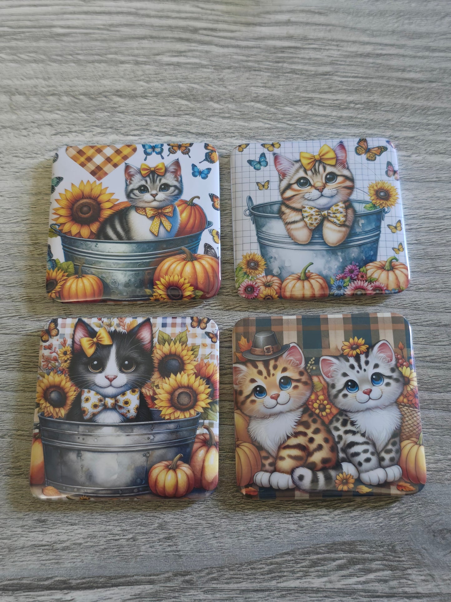 Picture magnets generic