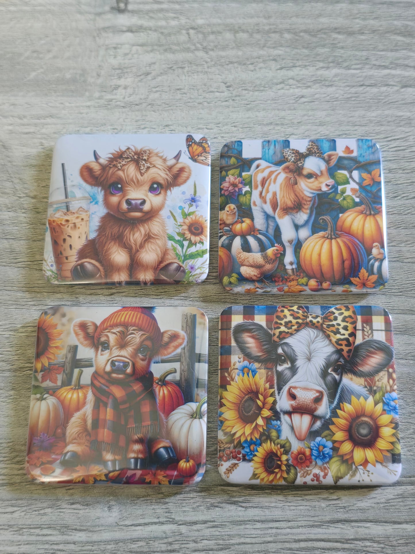Picture magnets generic