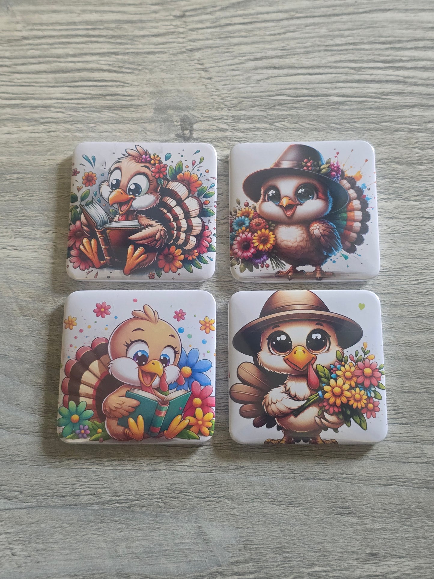Picture magnets generic