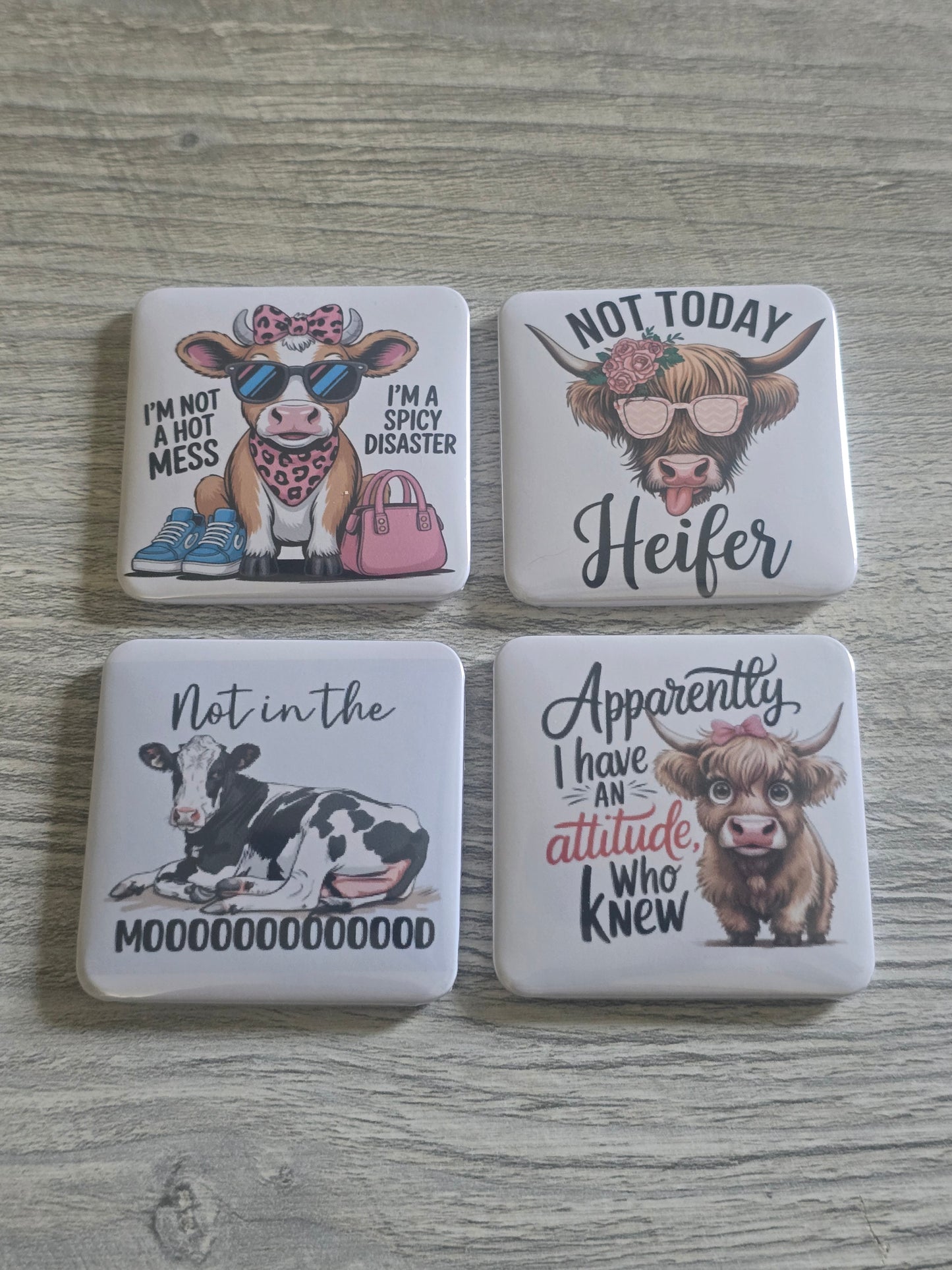 Picture magnets generic
