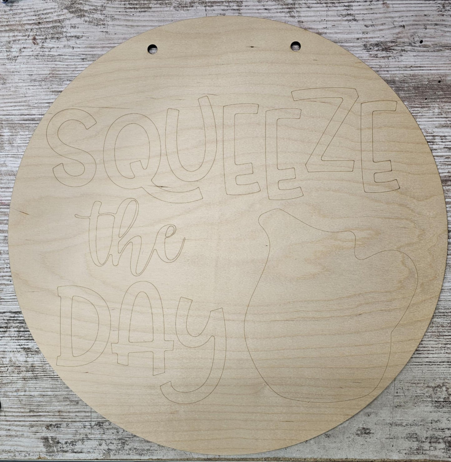 SALE Squeeze the Day 15" DIY Sign door hanger