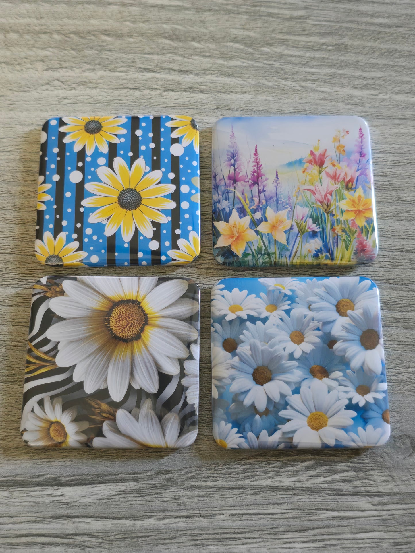 Picture magnets generic