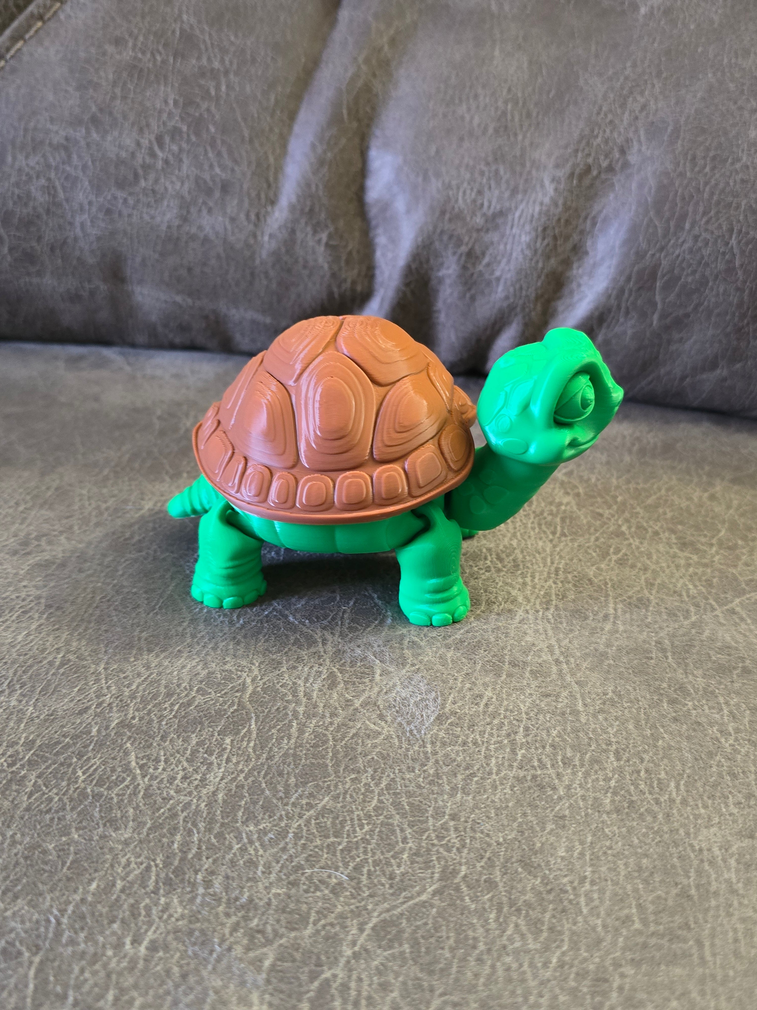 Turtle Removed Shell Turtle With removal shell 3D Printed – Wholesale By Kali