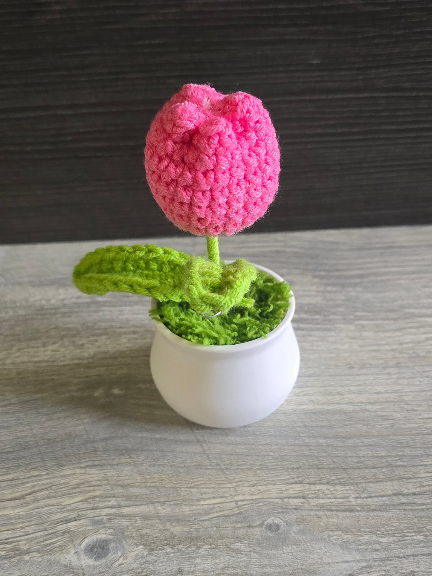 Small knitted crochet potted plants limited quantity