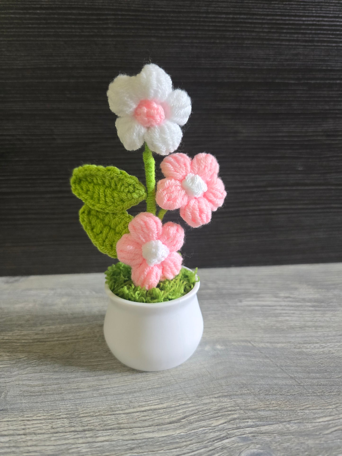 Small knitted crochet potted plants limited quantity