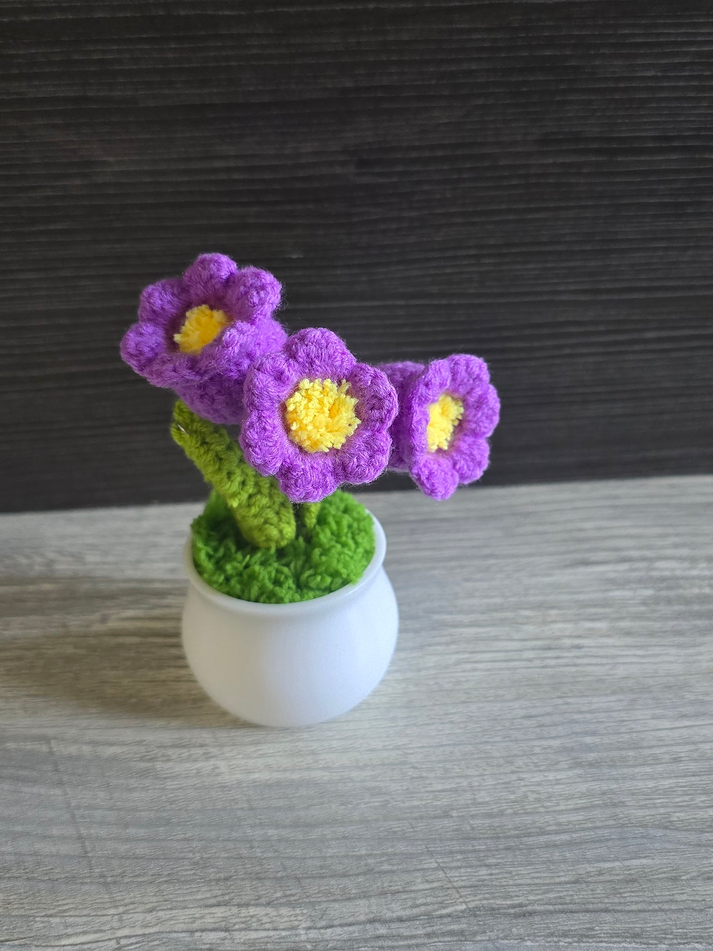 Small knitted crochet potted plants limited quantity