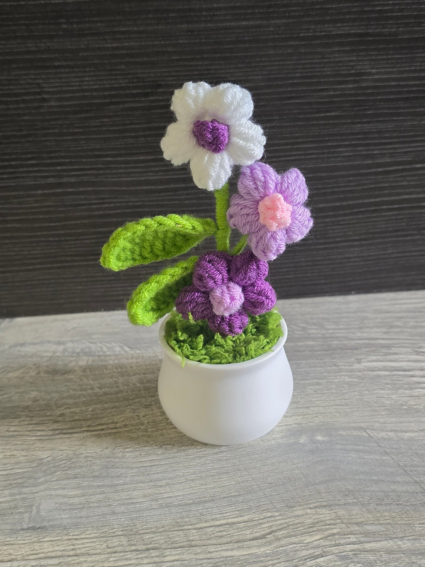 Small knitted crochet potted plants limited quantity