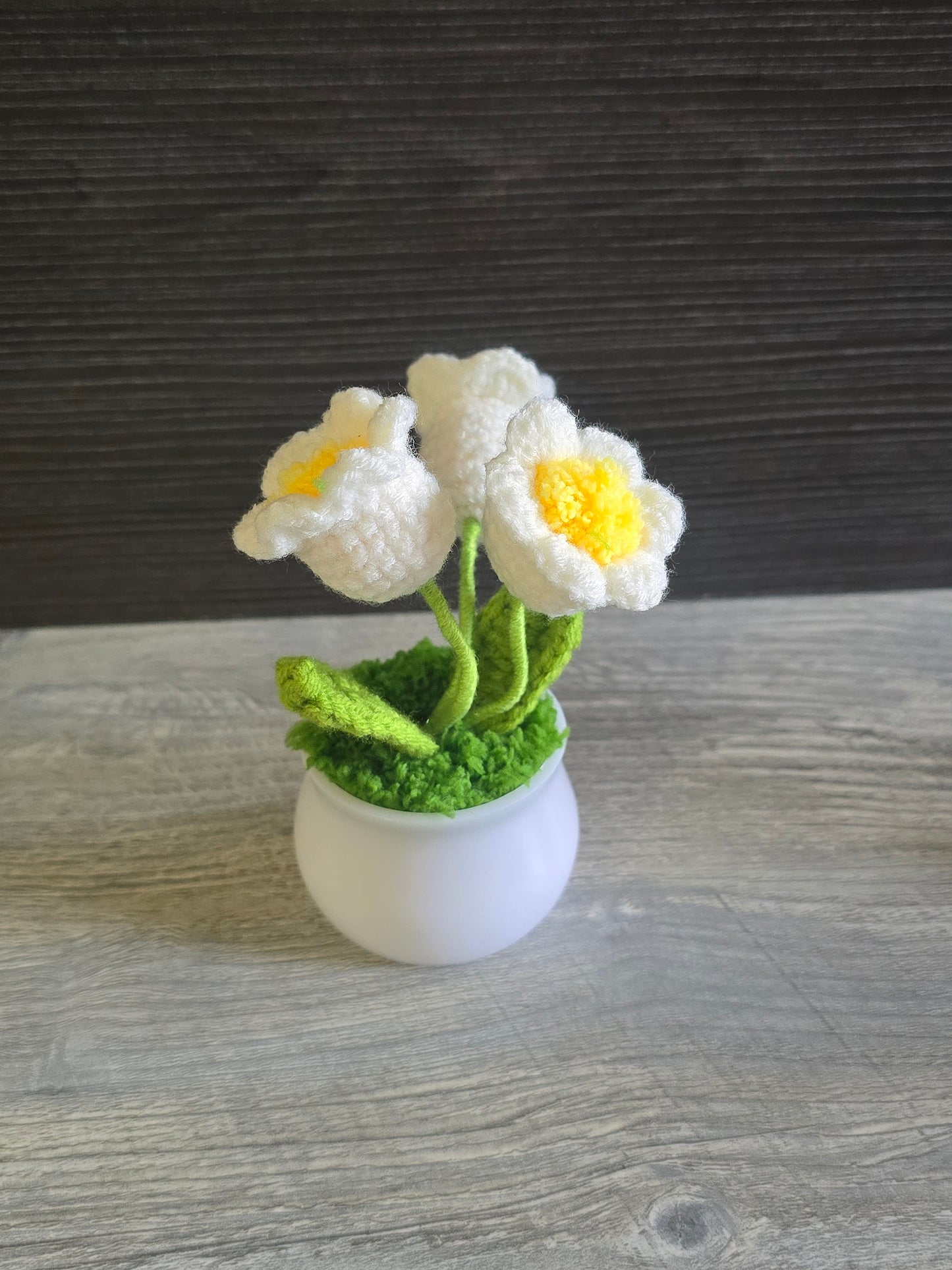 Small knitted crochet potted plants limited quantity