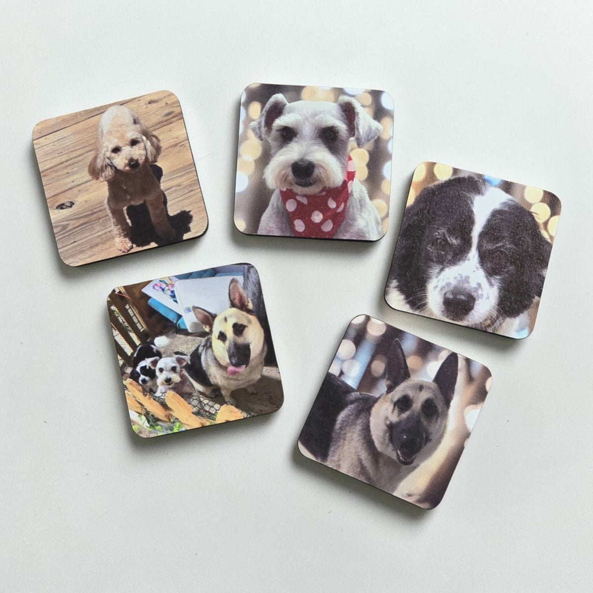 UV printed photo magnet upload picture