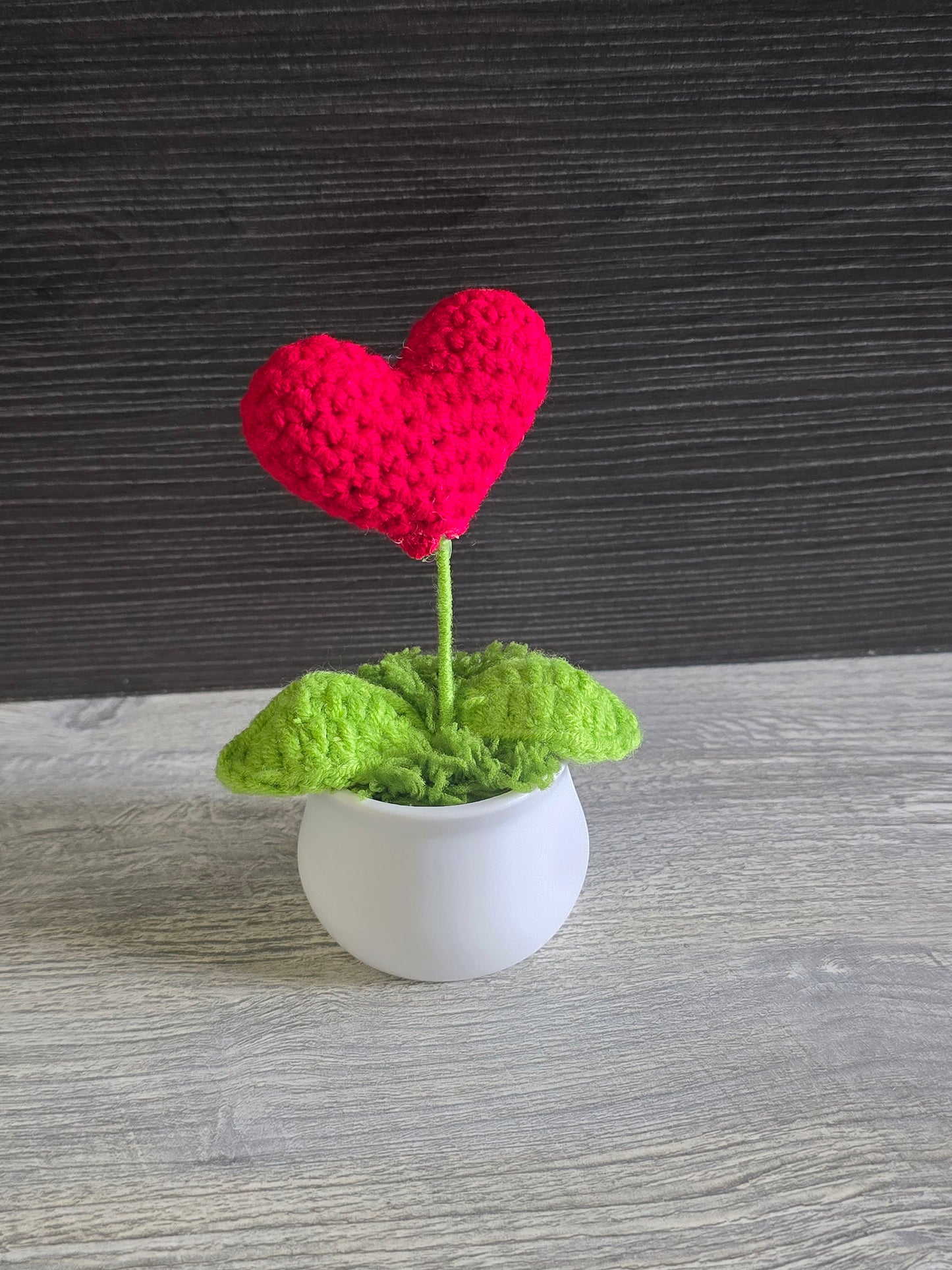 Small knitted crochet potted plants limited quantity