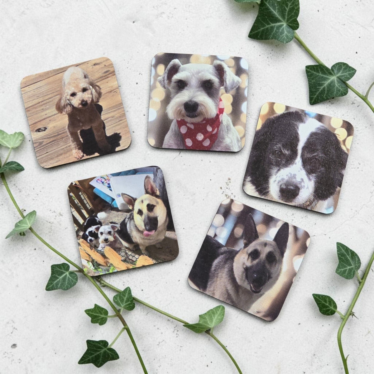 UV printed photo magnet upload picture