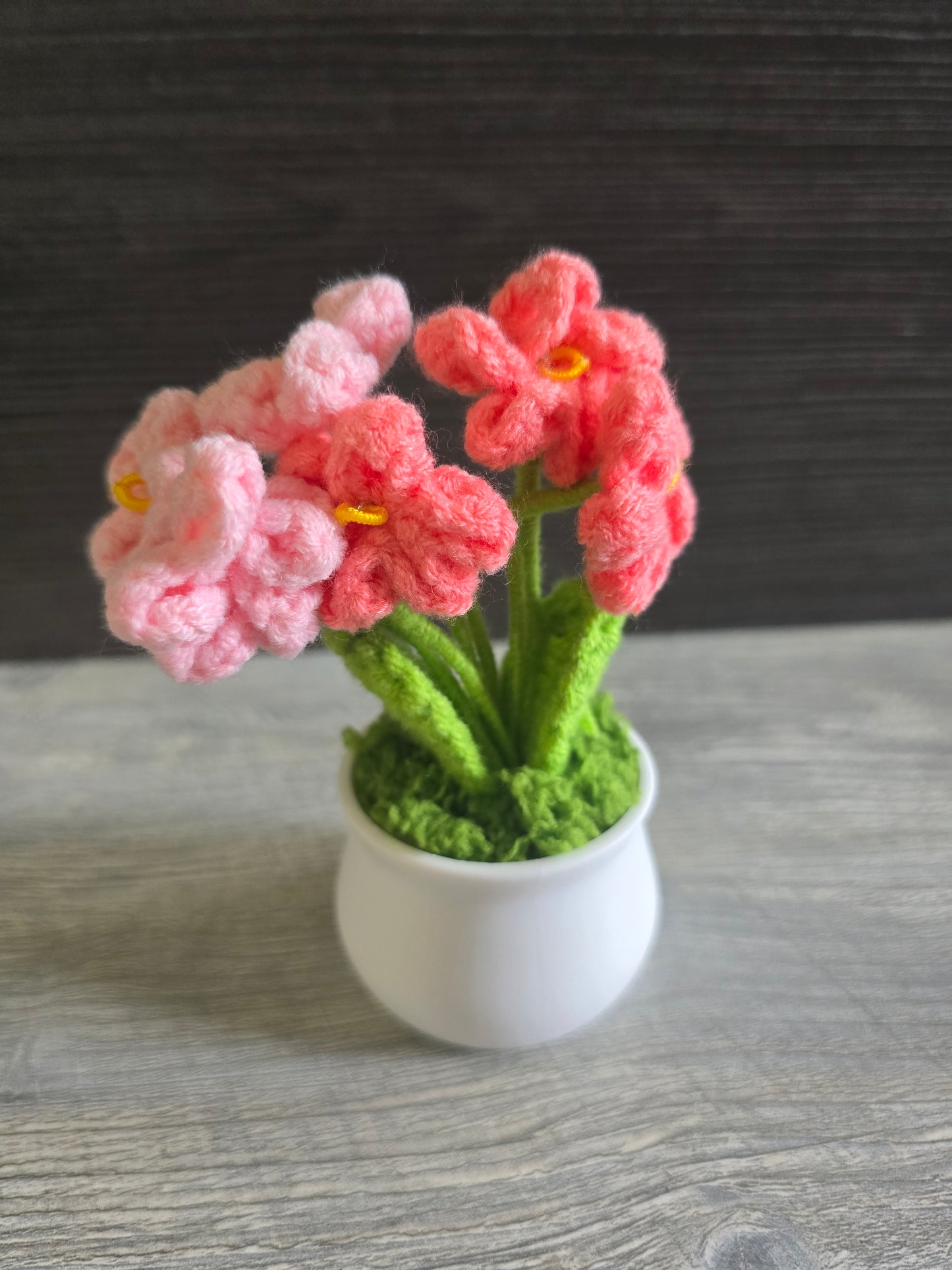 Small knitted crochet potted plants limited quantity