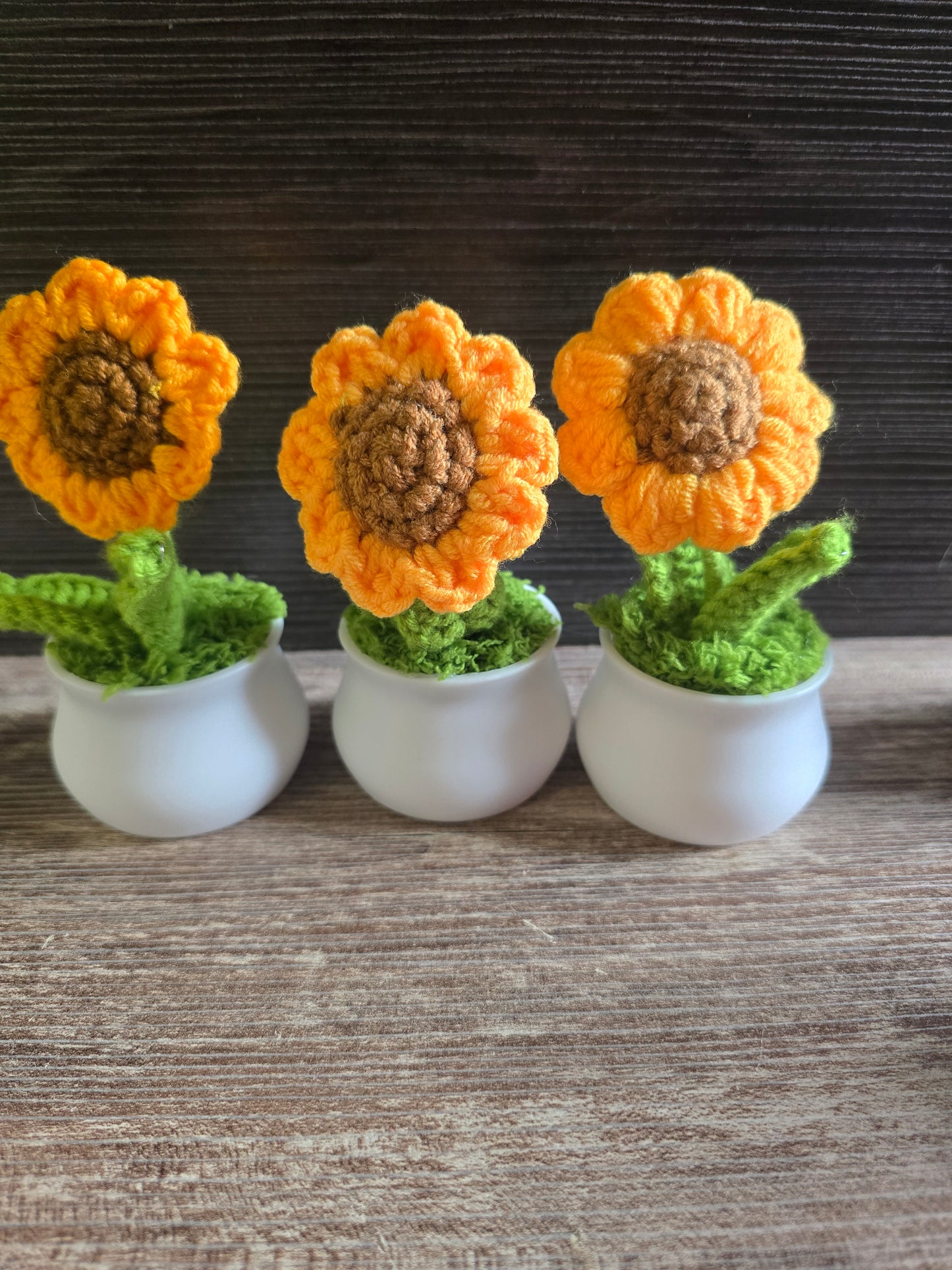 Small knitted crochet potted plants limited quantity