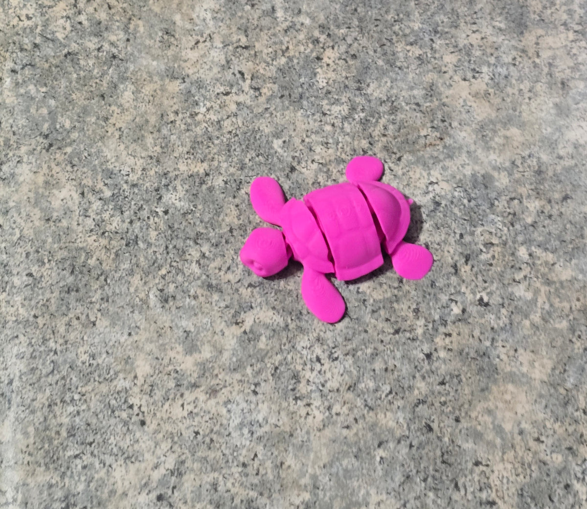3D printed Miniature Turtles