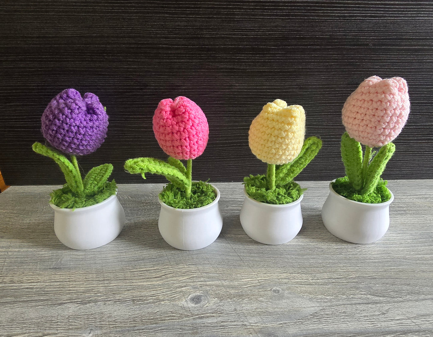 Small knitted crochet potted plants limited quantity