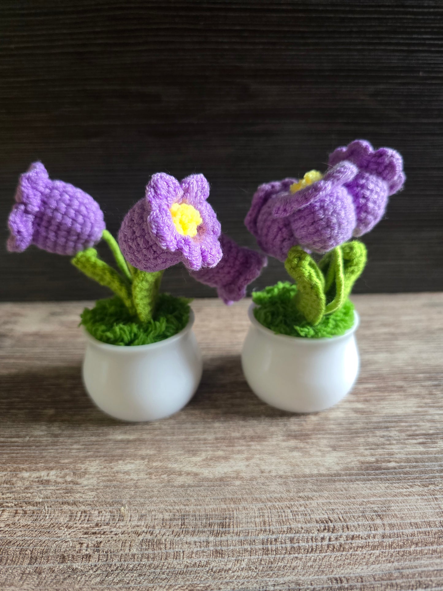 Small knitted crochet potted plants limited quantity