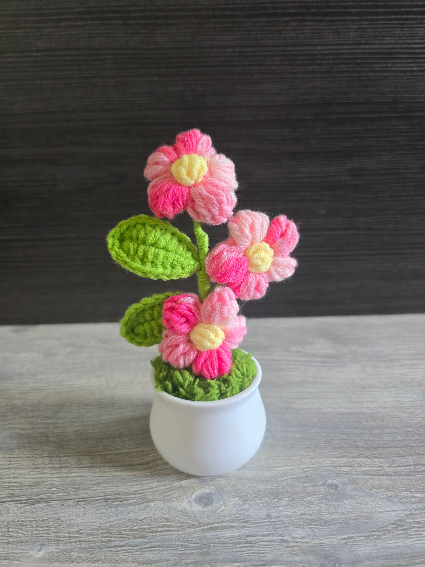 Small knitted crochet potted plants limited quantity