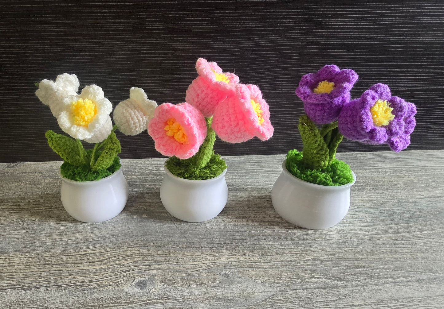 Small knitted crochet potted plants limited quantity