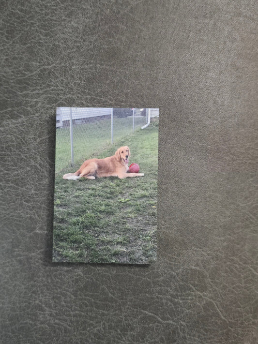 UV printed upload your pictures rectangle Magnets