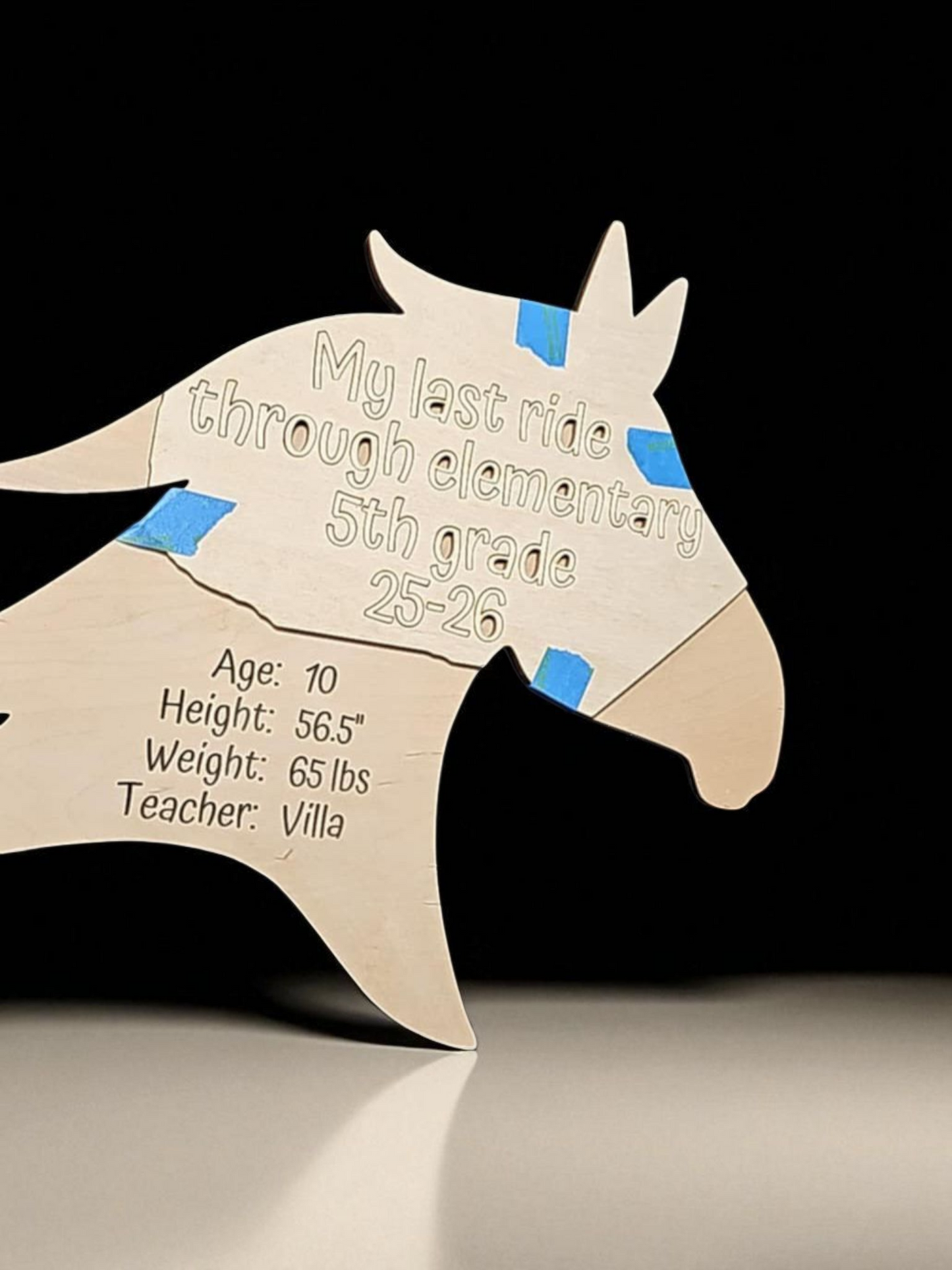 Horse school sign Melissa