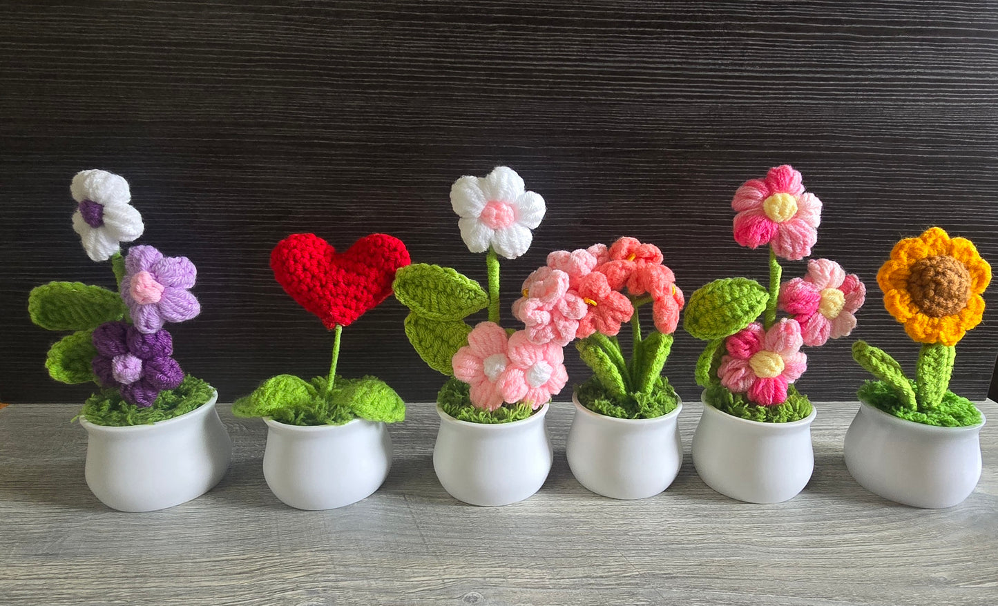 Small knitted crochet potted plants limited quantity