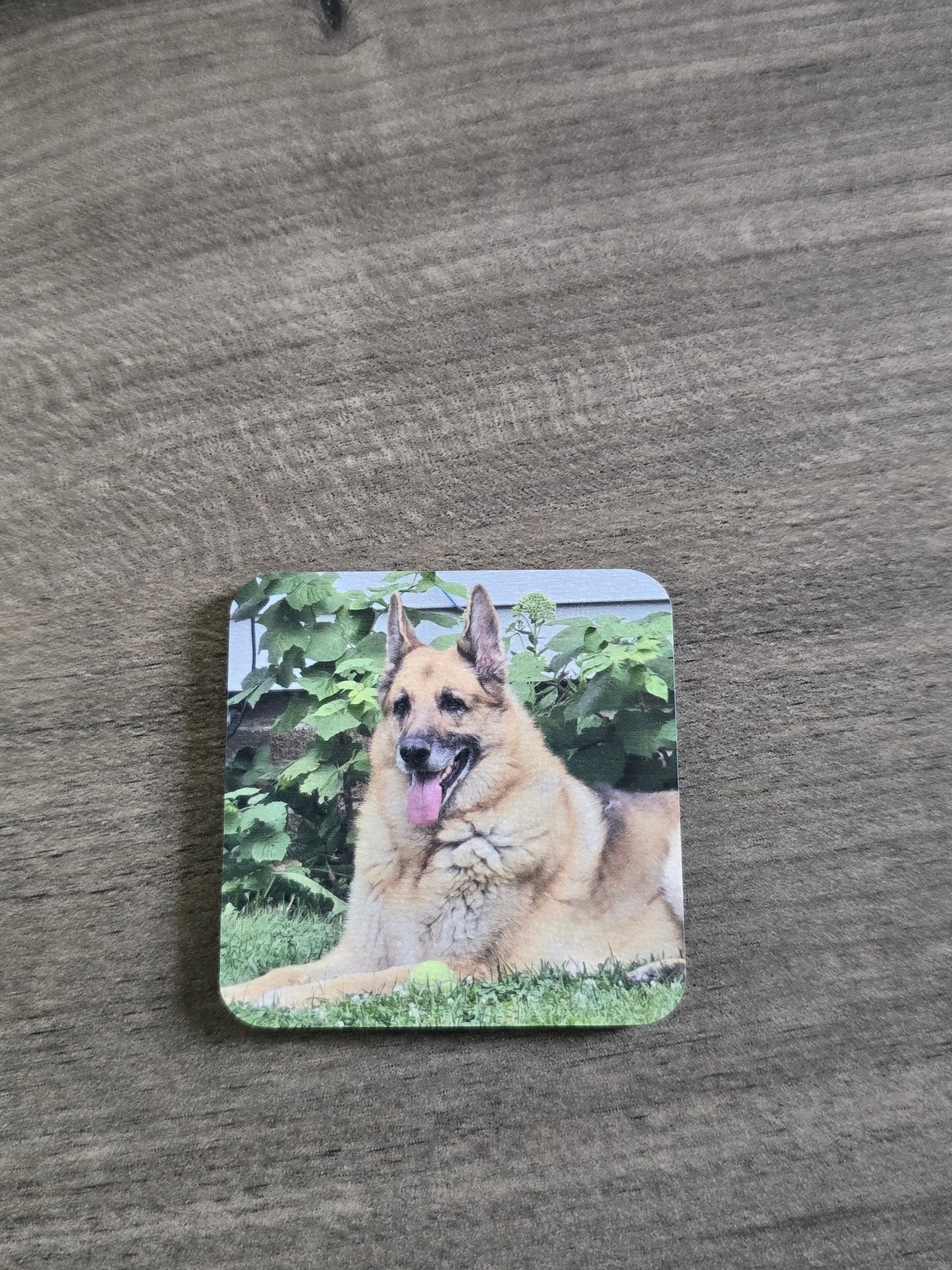 UV printed photo magnet upload picture