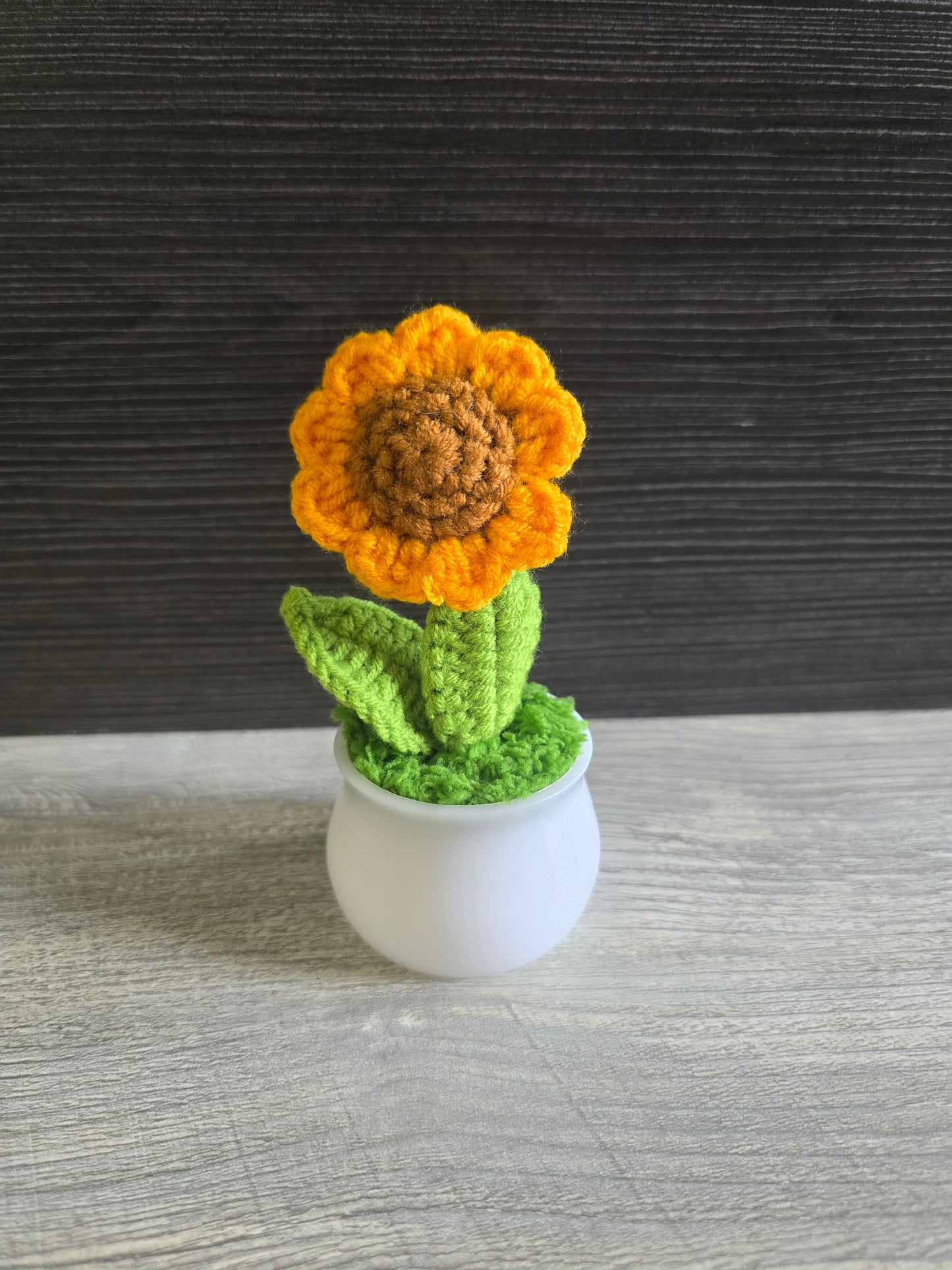 Small knitted crochet potted plants limited quantity