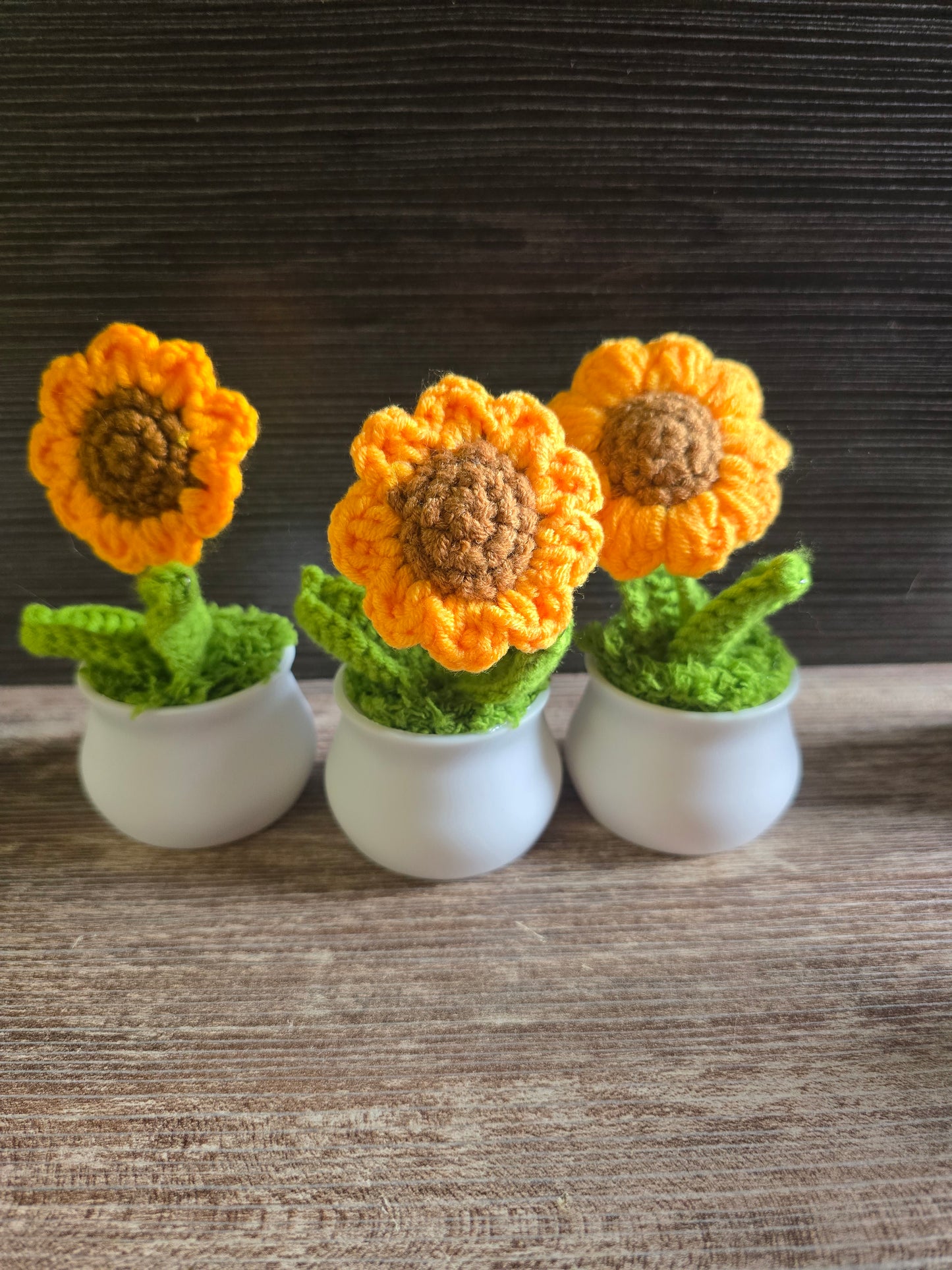 Small knitted crochet potted plants limited quantity