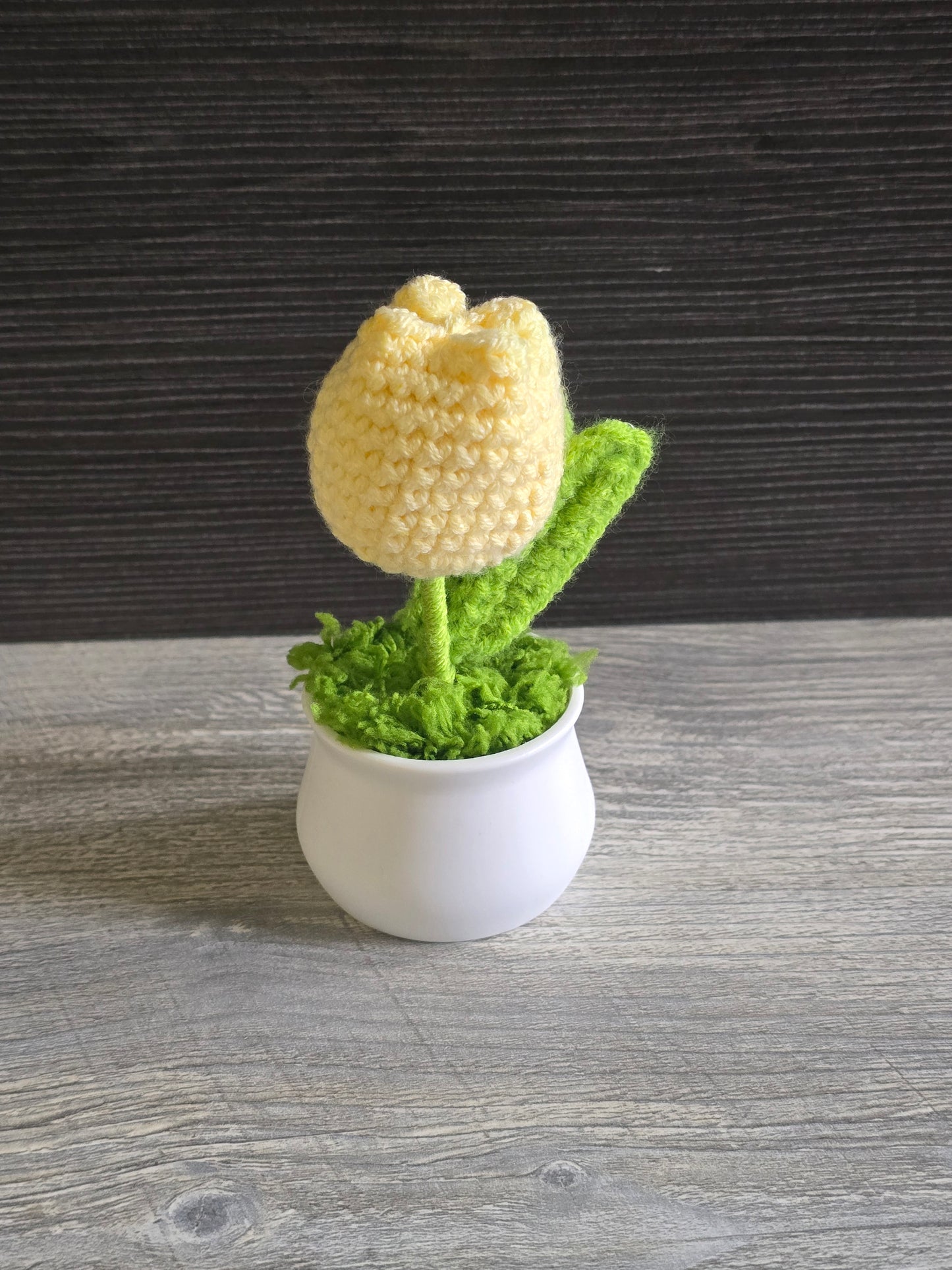 Small knitted crochet potted plants limited quantity