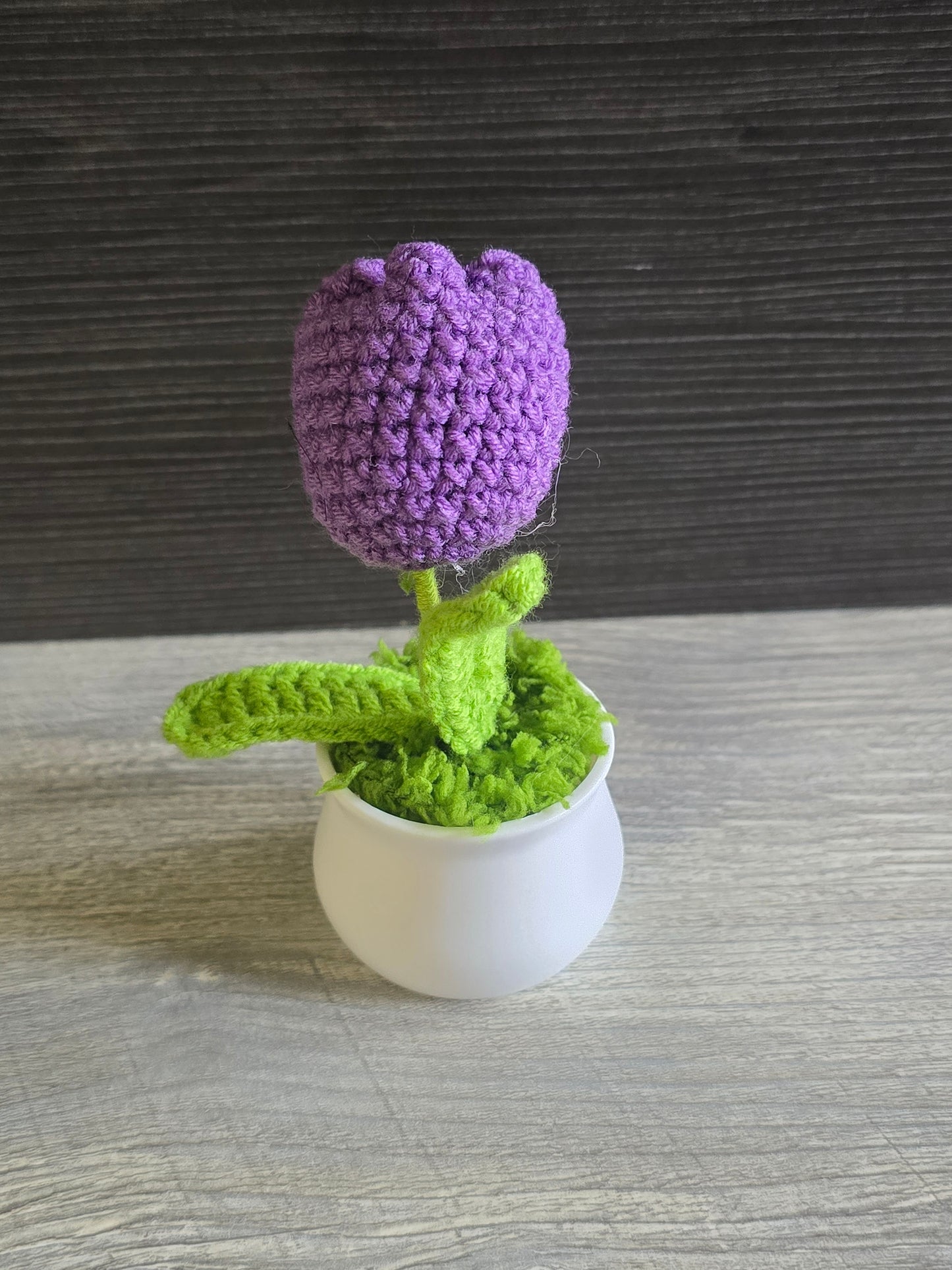 Small knitted crochet potted plants limited quantity