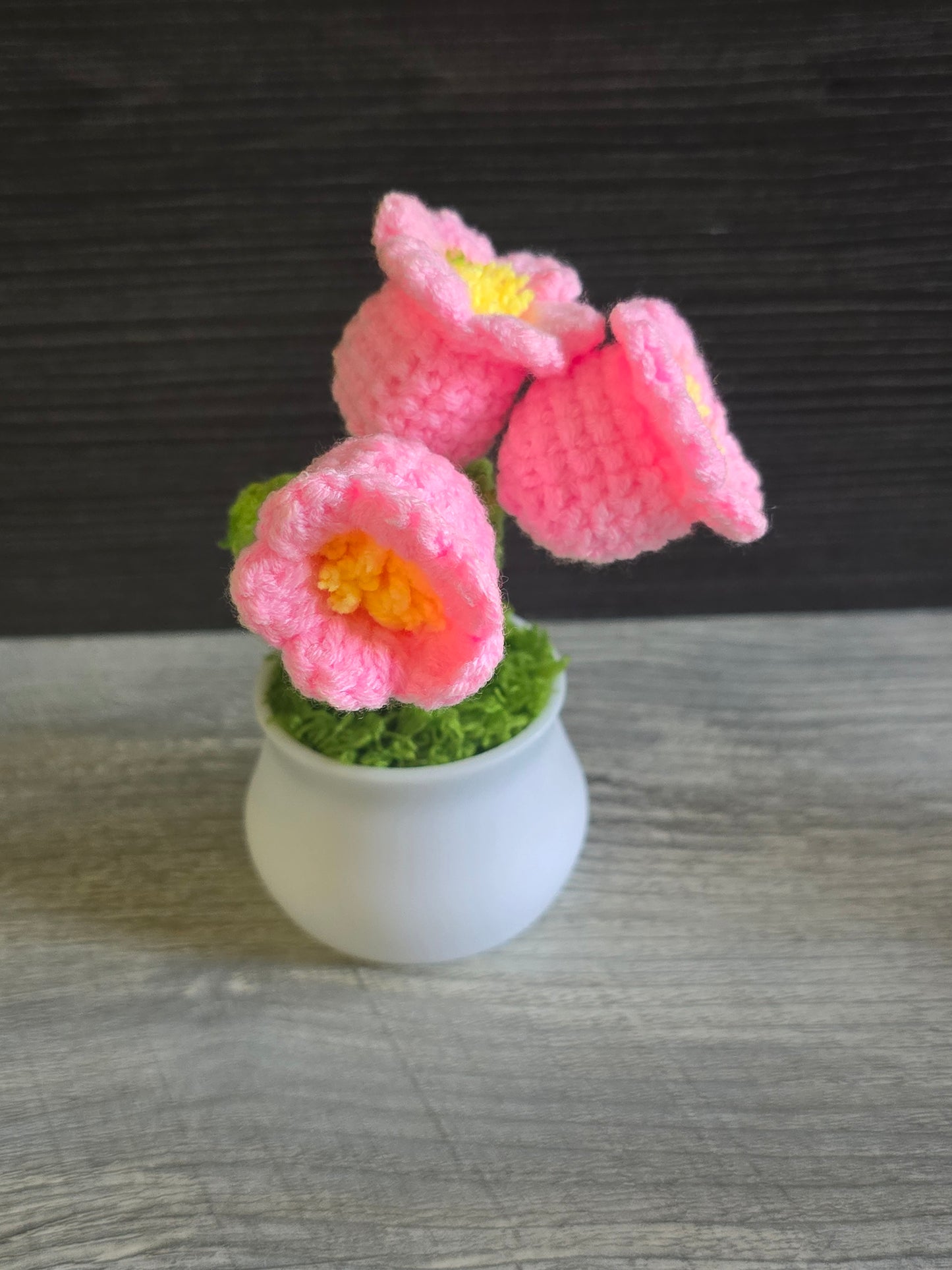Small knitted crochet potted plants limited quantity