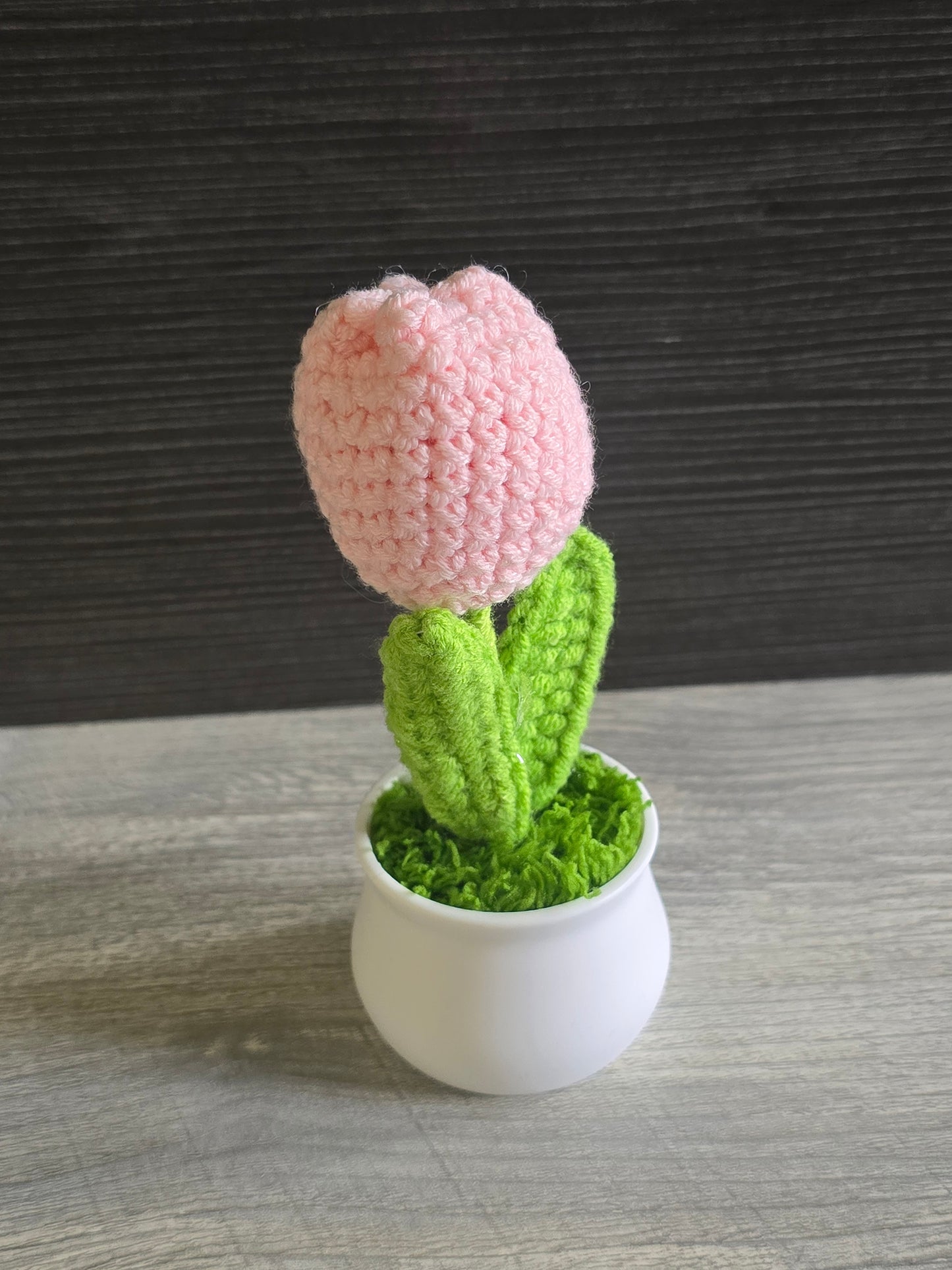 Small knitted crochet potted plants limited quantity