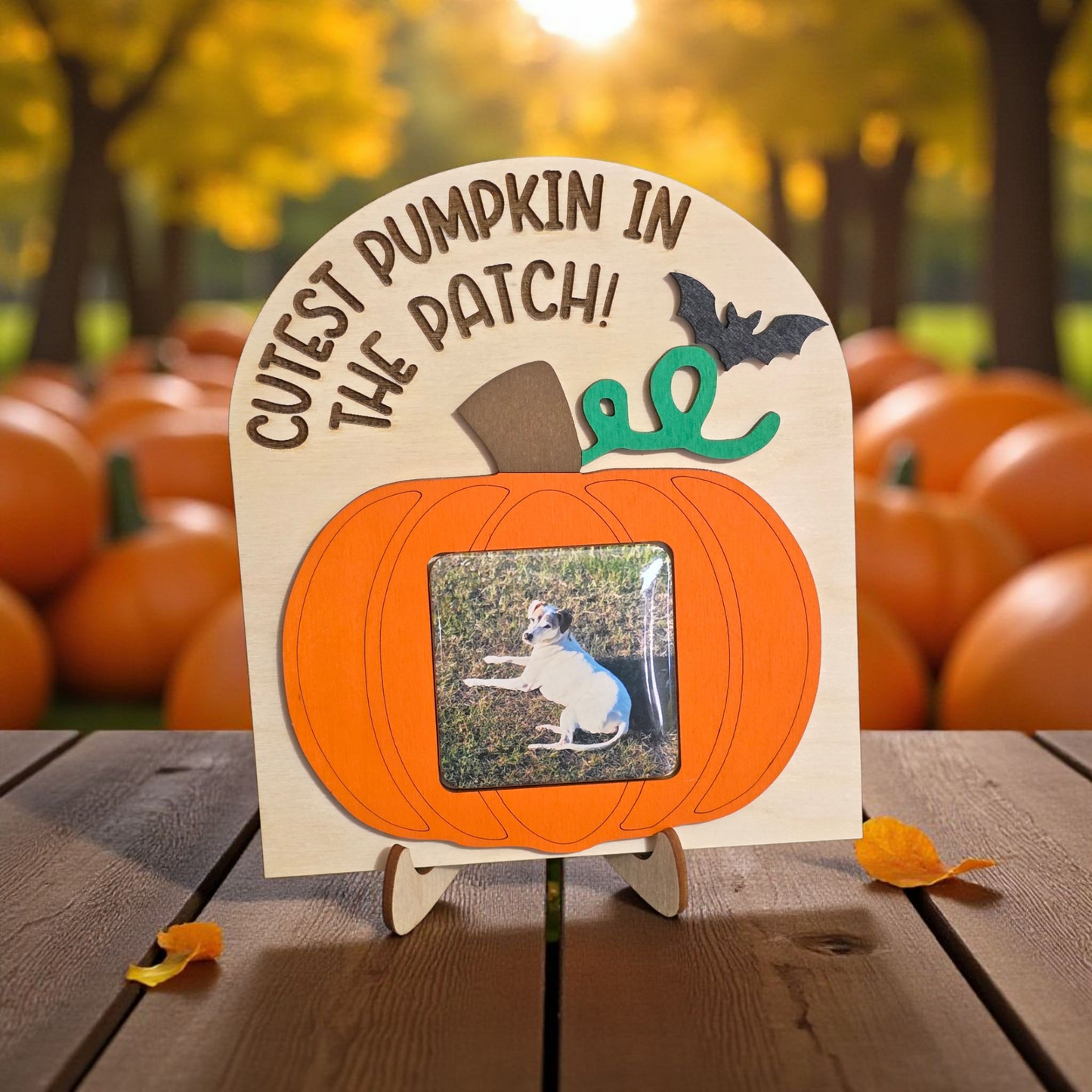 Cutest pumpkin in the patch with picture upload